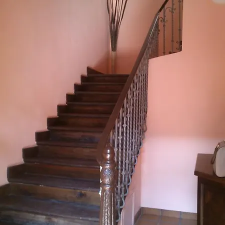 La Panerona Centro *